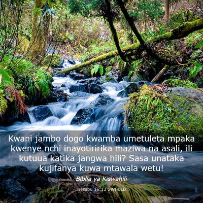 Picture 03 - Hesabu 16:13 SWHULB - Kwani jambo dogo kwamba umetuleta mpaka kwenye - Bible Verse Picture