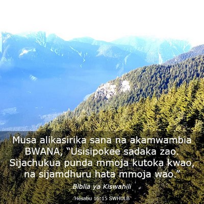 Picture 03 - Hesabu 16:15 SWHULB - Musa alikasirika sana na akamwambia BWANA, - Bible Verse Picture