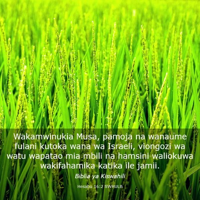 Picture 03 - Hesabu 16:2 SWHULB - Wakamwinukia Musa, pamoja na wanaume fulani - Bible Verse Picture