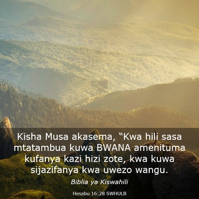 Picture 03 - Hesabu 16:28 SWHULB - Kisha Musa akasema, “Kwa hili sasa mtatambua - Bible Verse Picture