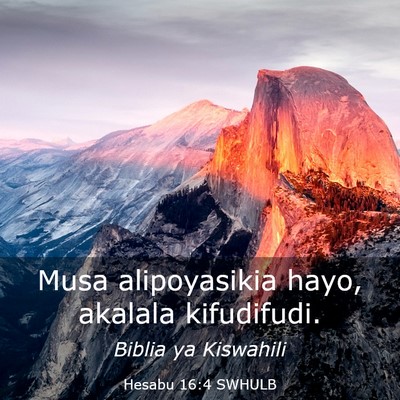 Picture 03 - Hesabu 16:4 SWHULB - Musa alipoyasikia hayo, akalala - Bible Verse Picture