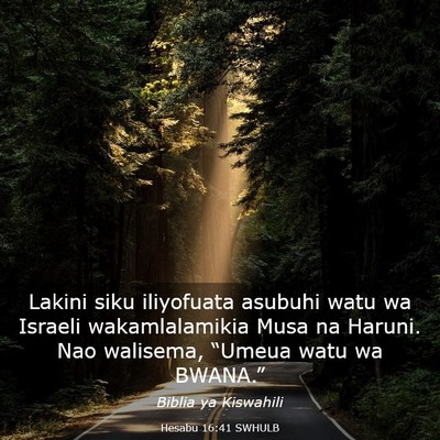 Picture 03 - Hesabu 16:41 SWHULB - Lakini siku iliyofuata asubuhi watu wa Israeli - Bible Verse Picture