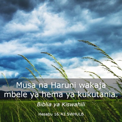 Picture 03 - Hesabu 16:43 SWHULB - Musa na Haruni wakaja mbele ya hema ya - Bible Verse Picture