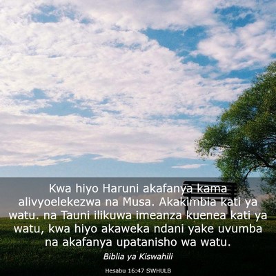 Picture 03 - Hesabu 16:47 SWHULB - Kwa hiyo Haruni akafanya kama alivyoelekezwa na - Bible Verse Picture