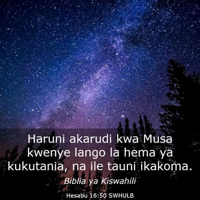 Picture 03 - Hesabu 16:50 SWHULB - Haruni akarudi kwa Musa kwenye lango la hema ya - Bible Verse Picture