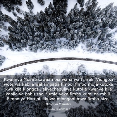 Picture 03 - Hesabu 17:6 SWHULB - Kwa hiyo Musa akawaambia wana wa Israeli. - Bible Verse Picture