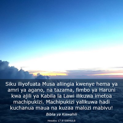 Picture 03 - Hesabu 17:8 SWHULB - Siku iliyofuata Musa aliingia kwenye hema ya amri - Bible Verse Picture