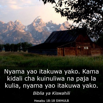 Picture 03 - Hesabu 18:18 SWHULB - Nyama yao itakuwa yako. Kama kidali cha kuinuliwa - Bible Verse Picture
