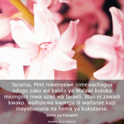 Picture 03 - Hesabu 18:6 SWHULB - Tazama, Mmi mwenyewe nimewachagua ndugu zako wa - Bible Verse Picture
