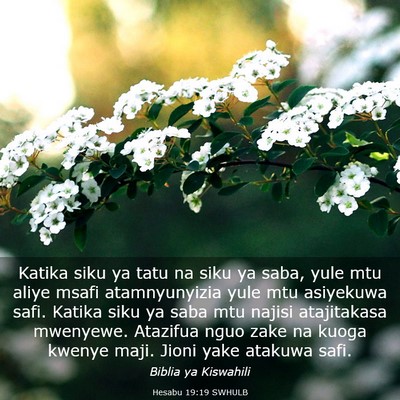 Picture 03 - Hesabu 19:19 SWHULB - Katika siku ya tatu na siku ya saba, yule mtu - Bible Verse Picture