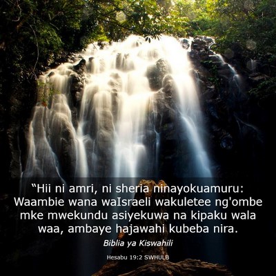 Picture 03 - Hesabu 19:2 SWHULB - “Hii ni amri, ni sheria ninayokuamuru: Waambie - Bible Verse Picture