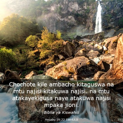 Picture 03 - Hesabu 19:22 SWHULB - Chochote kile ambacho kitaguswa na mtu najisi - Bible Verse Picture