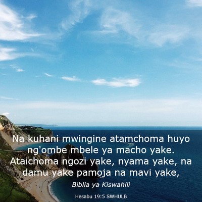 Picture 03 - Hesabu 19:5 SWHULB - Na kuhani mwingine atamchoma huyo ng'ombe mbele - Bible Verse Picture