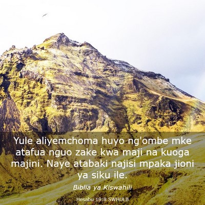 Picture 03 - Hesabu 19:8 SWHULB - Yule aliyemchoma huyo ng'ombe mke atafua nguo - Bible Verse Picture