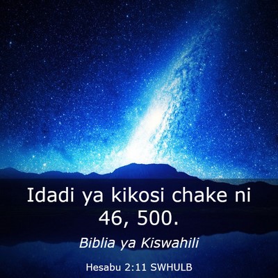 Picture 03 - Hesabu 2:11 SWHULB - Idadi ya kikosi chake ni 46, - Bible Verse Picture
