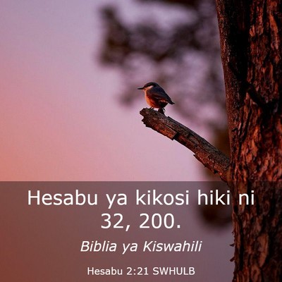 Picture 03 - Hesabu 2:21 SWHULB - Hesabu ya kikosi hiki ni 32, - Bible Verse Picture
