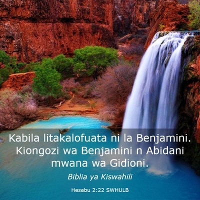 Picture 03 - Hesabu 2:22 SWHULB - Kabila litakalofuata ni la Benjamini. Kiongozi wa - Bible Verse Picture
