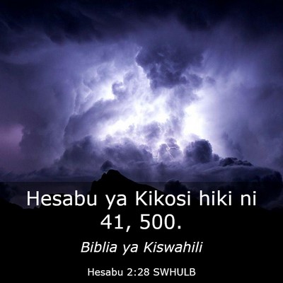 Picture 03 - Hesabu 2:28 SWHULB - Hesabu ya Kikosi hiki ni 41, - Bible Verse Picture