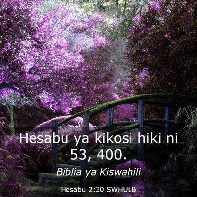 Picture 03 - Hesabu 2:30 SWHULB - Hesabu ya kikosi hiki ni 53, - Bible Verse Picture