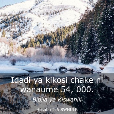 Picture 03 - Hesabu 2:6 SWHULB - Idadi ya kikosi chake ni wanaume 54, - Bible Verse Picture