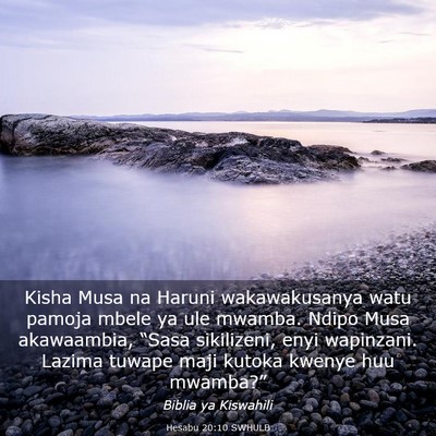 Picture 03 - Hesabu 20:10 SWHULB - Kisha Musa na Haruni wakawakusanya watu pamoja - Bible Verse Picture