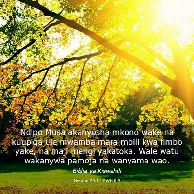 Picture 03 - Hesabu 20:11 SWHULB - Ndipo Musa akanyosha mkono wake na kuupiga ule - Bible Verse Picture