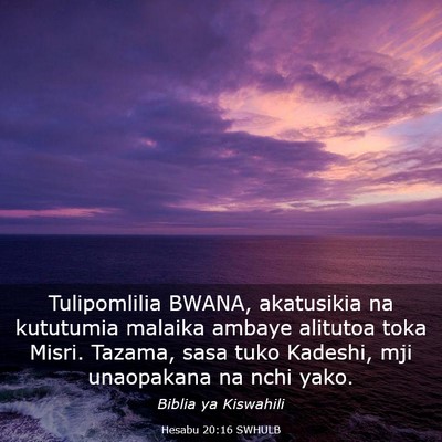 Picture 03 - Hesabu 20:16 SWHULB - Tulipomlilia BWANA, akatusikia na kututumia - Bible Verse Picture