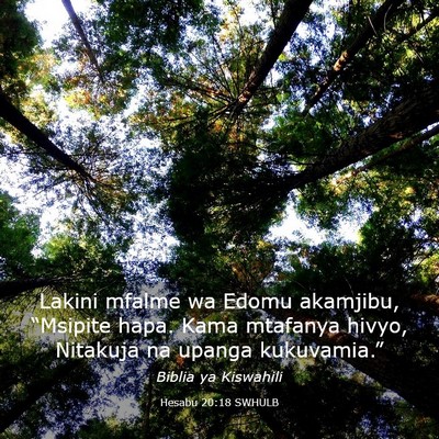 Picture 03 - Hesabu 20:18 SWHULB - Lakini mfalme wa Edomu akamjibu, “Msipite hapa. - Bible Verse Picture
