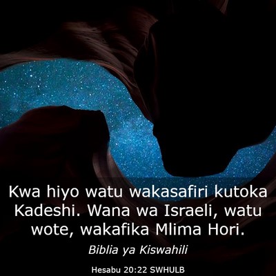 Picture 03 - Hesabu 20:22 SWHULB - Kwa hiyo watu wakasafiri kutoka Kadeshi. Wana wa - Bible Verse Picture