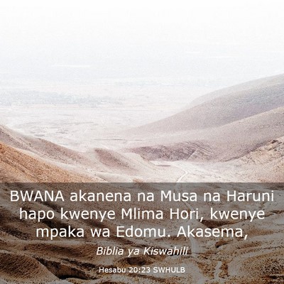 Picture 03 - Hesabu 20:23 SWHULB - BWANA akanena na Musa na Haruni hapo kwenye Mlima - Bible Verse Picture