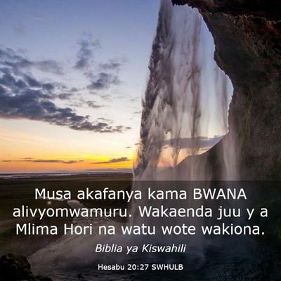 Picture 03 - Hesabu 20:27 SWHULB - Musa akafanya kama BWANA alivyomwamuru. Wakaenda - Bible Verse Picture