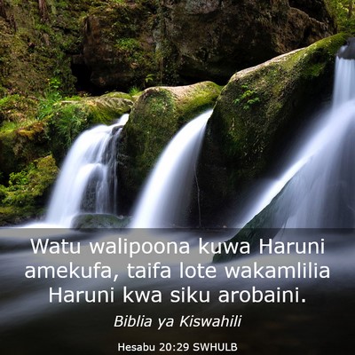 Picture 03 - Hesabu 20:29 SWHULB - Watu walipoona kuwa Haruni amekufa, taifa lote - Bible Verse Picture