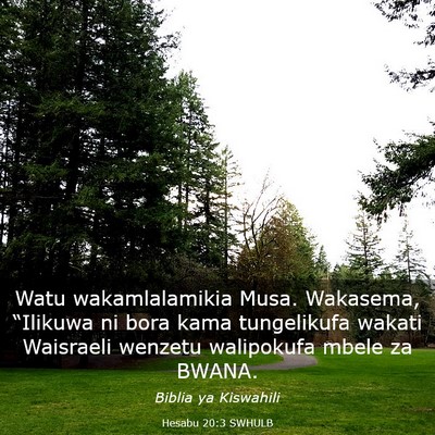 Picture 03 - Hesabu 20:3 SWHULB - Watu wakamlalamikia Musa. Wakasema, “Ilikuwa ni - Bible Verse Picture