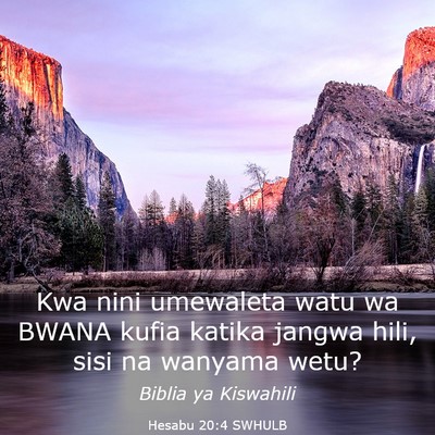 Picture 03 - Hesabu 20:4 SWHULB - Kwa nini umewaleta watu wa BWANA kufia katika - Bible Verse Picture