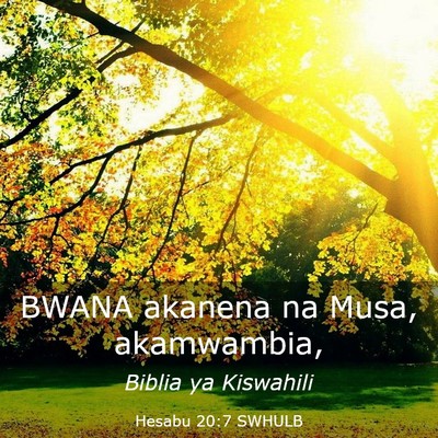 Picture 03 - Hesabu 20:7 SWHULB - BWANA akanena na Musa, - Bible Verse Picture