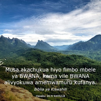 Picture 03 - Hesabu 20:9 SWHULB - Musa akachukua hiyo fimbo mbele ya BWANA, kama - Bible Verse Picture