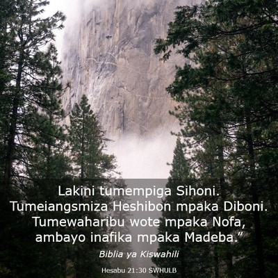 Picture 03 - Hesabu 21:30 SWHULB - Lakini tumempiga Sihoni. Tumeiangsmiza Heshibon - Bible Verse Picture