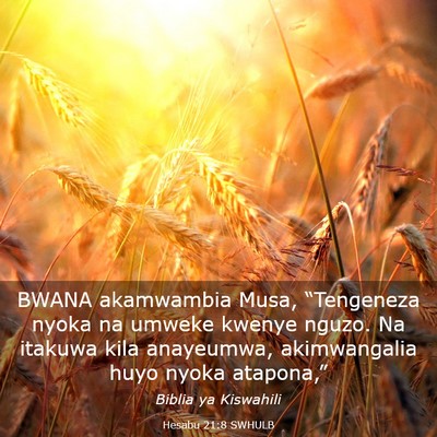 Picture 03 - Hesabu 21:8 SWHULB - BWANA akamwambia Musa, “Tengeneza nyoka na - Bible Verse Picture