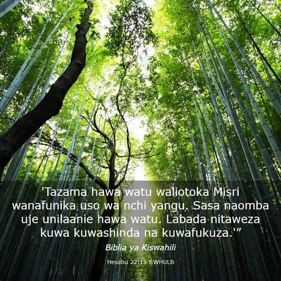 Picture 03 - Hesabu 22:11 SWHULB - 'Tazama hawa watu waliotoka Misri wanafunika uso - Bible Verse Picture