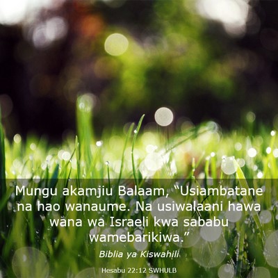Picture 03 - Hesabu 22:12 SWHULB - Mungu akamjiu Balaam, “Usiambatane na hao - Bible Verse Picture