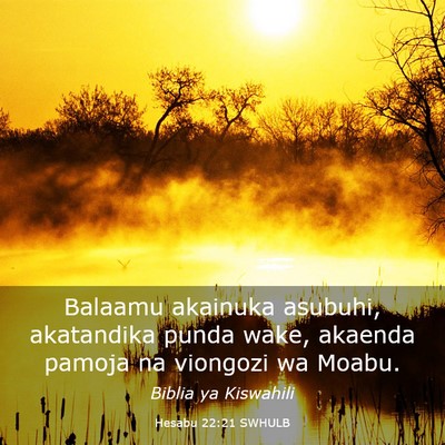 Picture 03 - Hesabu 22:21 SWHULB - Balaamu akainuka asubuhi, akatandika punda wake, - Bible Verse Picture