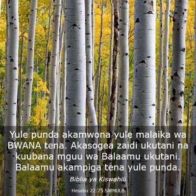 Picture 03 - Hesabu 22:25 SWHULB - Yule punda akamwona yule malaika wa BWANA tena. - Bible Verse Picture