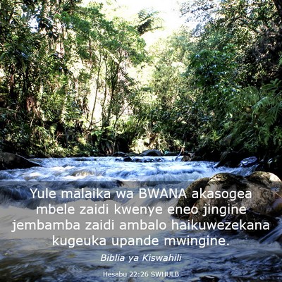 Picture 03 - Hesabu 22:26 SWHULB - Yule malaika wa BWANA akasogea mbele zaidi kwenye - Bible Verse Picture