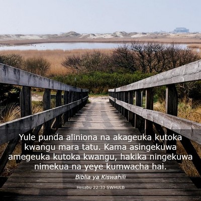 Picture 03 - Hesabu 22:33 SWHULB - Yule punda aliniona na akageuka kutoka kwangu - Bible Verse Picture