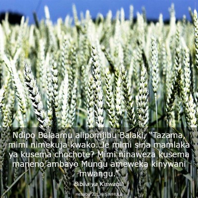Picture 03 - Hesabu 22:38 SWHULB - Ndipo Balaamu alipomjibu Balaki, “Tazama, mimi - Bible Verse Picture