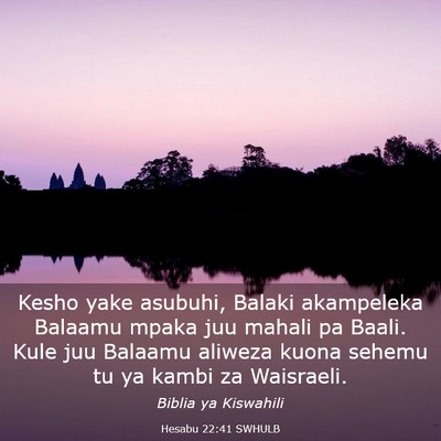 Picture 03 - Hesabu 22:41 SWHULB - Kesho yake asubuhi, Balaki akampeleka Balaamu - Bible Verse Picture