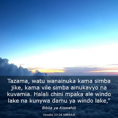 Picture 03 - Hesabu 23:24 SWHULB - Tazama, watu wanainuka kama simba jike, kama vile - Bible Verse Picture