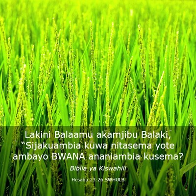 Picture 03 - Hesabu 23:26 SWHULB - Lakini Balaamu akamjibu Balaki, “Sijakuambia - Bible Verse Picture