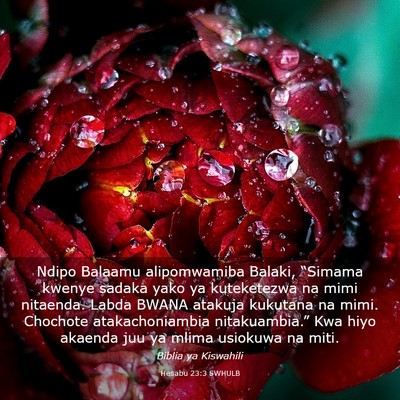 Picture 03 - Hesabu 23:3 SWHULB - Ndipo Balaamu alipomwamiba Balaki, “Simama - Bible Verse Picture