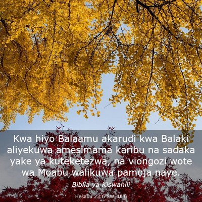 Picture 03 - Hesabu 23:6 SWHULB - Kwa hiyo Balaamu akarudi kwa Balaki aliyekuwa - Bible Verse Picture